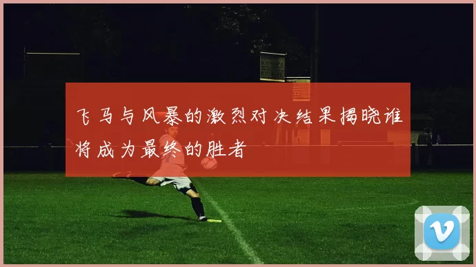 飞马与风暴的激烈对决结果揭晓谁将成为最终的胜者