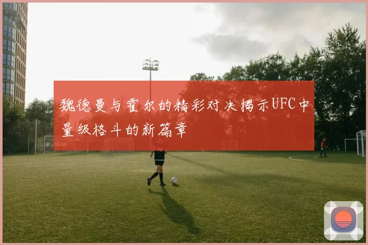魏德曼与霍尔的精彩对决揭示UFC中量级格斗的新篇章