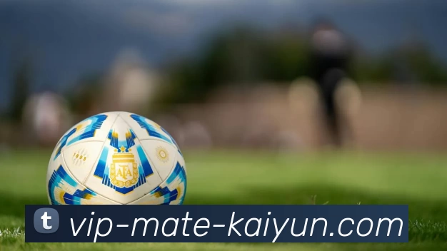 开云平台生态图